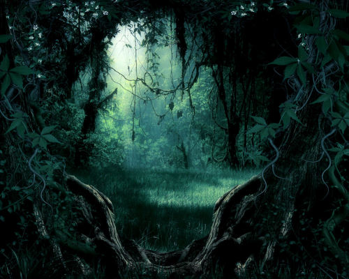 Mystic Moon ☽O☾