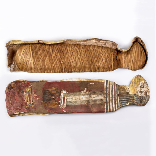 This large mummy likely contains a wild breed of cat. It is encased in decorated cartonnage—a mixtur