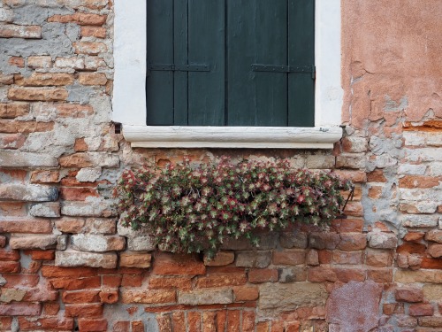 Cannaregio, VeniceFebruary 2022