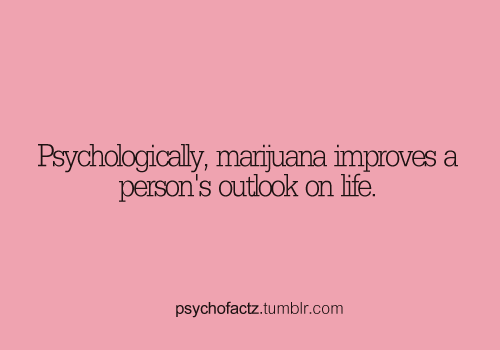 beawakestayawake:  psychofactz:  More Facts on Psychofacts :)   you don’t say…..