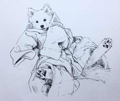 Have This Drawing Of That One Really Cute Dog In That Bathrobe From Tumblr