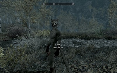 Skyrim Penis