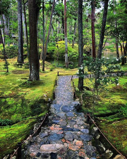 西芳寺庭園“苔寺” [ 京都市西京区 ] ② Saiho-ji Temple Garden (Moss Temple), Kyoto ーー聖徳太子からスティーブ・ジョブズまで。中世に禅僧 #夢窓疎石 