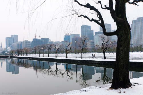 メリークリスマス、Tokyo A Christmas snow being a fantasy.Otemachi, Tokyo