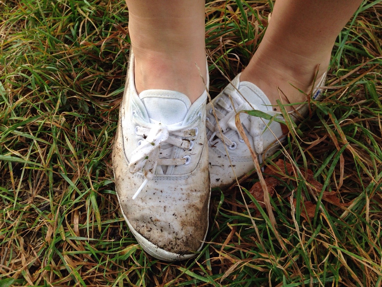 wet keds sneakers