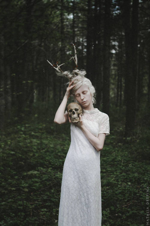 Memento Mori by Natalia Drepina