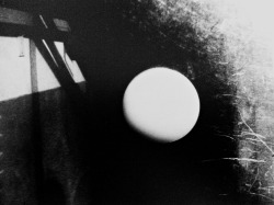 lapetitecole:  Daido Moriyama 