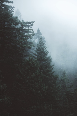 jrxdn:  Nature | Facebook | Instagram