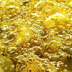 chron36:  #runbho #bho #shatterporn #shatter