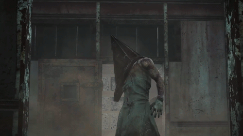 Lady And The Executioner 