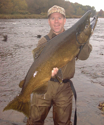 20 Mustad signature double salmon/sea trout hooks 8 to 16 