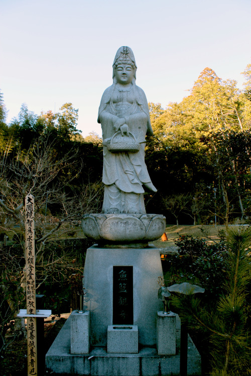 a buddhist god of fish