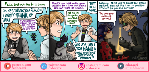 Quick Miraculous Twin AU comic! ( ´ ▽ ` )ﾉI went way back in my ML tag and found an ancient text pos