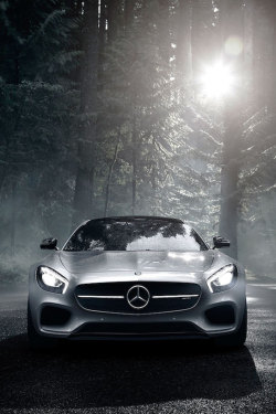 fullthrottleauto:  Mercedes AMG GT (Source)