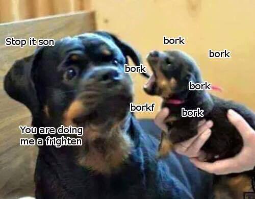 Porn photo froobs:  bork megapost