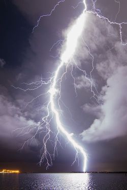 bluepueblo:  Lightning Bolt, Tampa, Florida