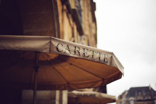 Carette has such rich hot chocolate. I love to get it and sit in the park. 