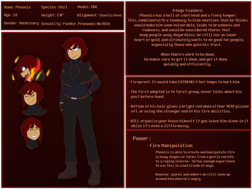 mirrorteru:Phoenix info sheet!!The fourth point is a joke, but the feeling is there.I also straight 