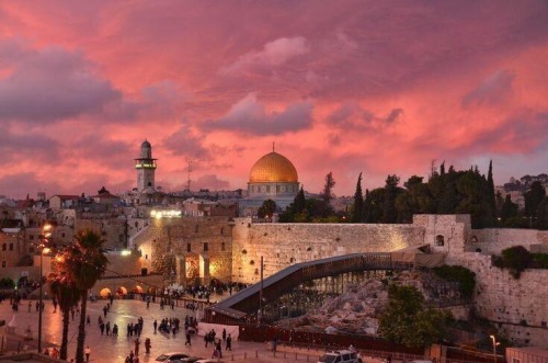 bqzy:  How beautiful is Palestine? May Allah protect it. Ameen.