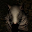 ratofprophecy