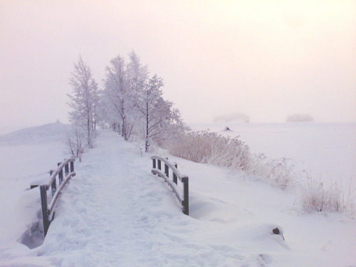 magic-spelldust:Winter Wonderland byBoatshallow