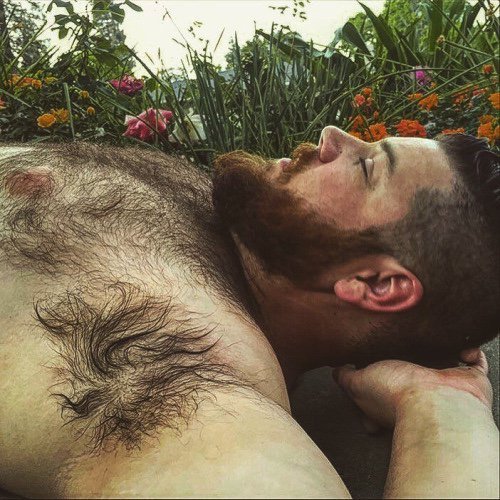 littlebuddhacub:Nuzzle