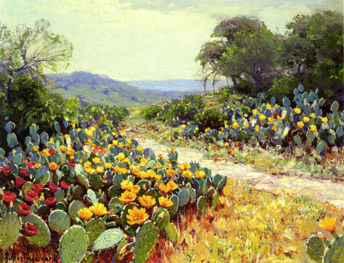 julian-onderdonk:Cactus in Bloom, 1915, Robert Julian Onderdonk
