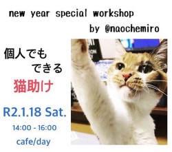 Cafe Day 静岡県沼津市のカフェ Cafe Day 静岡県沼津市のカフェ