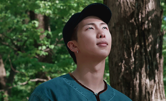 Fanlanthropy: RM and the Significant Concerns of Deforestation The Honey POP Kim Namjoon PH Namjooning