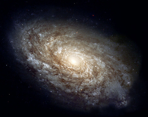breathesuniverse: A galaxy is a massive, gravitationally bound system that consists of stars and ste