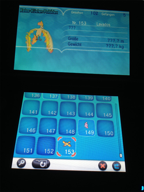 virgil134: kalos-pkmnacademy: Little stuff: Short hair on girls is confirmed! Mega Gyarados  An