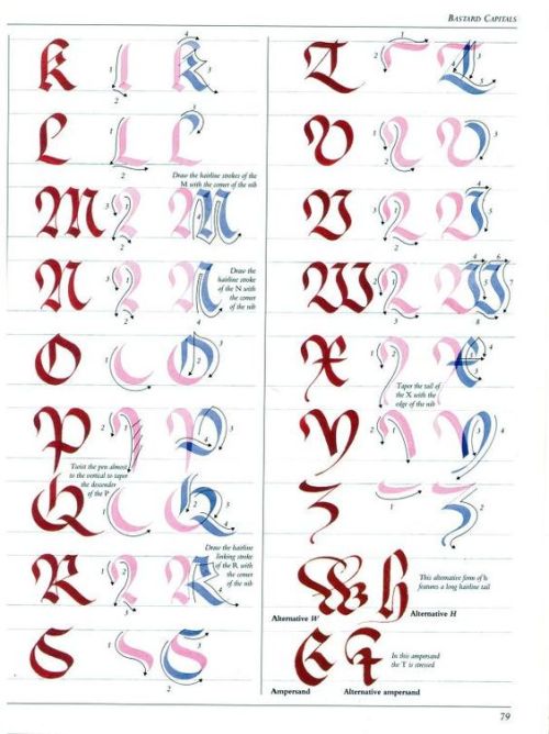 The Art Of Calligraphy