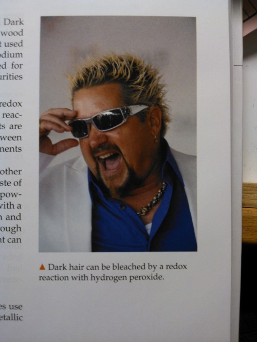 oilthat-tasteslikeblood:The fact that Guy Fieri is in my chemistry textbook almost makes the 贘 expense worth it