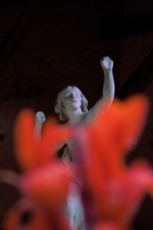 aint-bokeh-dont-fix-it:I took so many photos of Joan of Arc statues while I was in France, these are