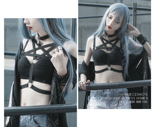 Harness Fashion Full album info: https://www.facebook.com/media/set/?set=a.896405220442906.107374190