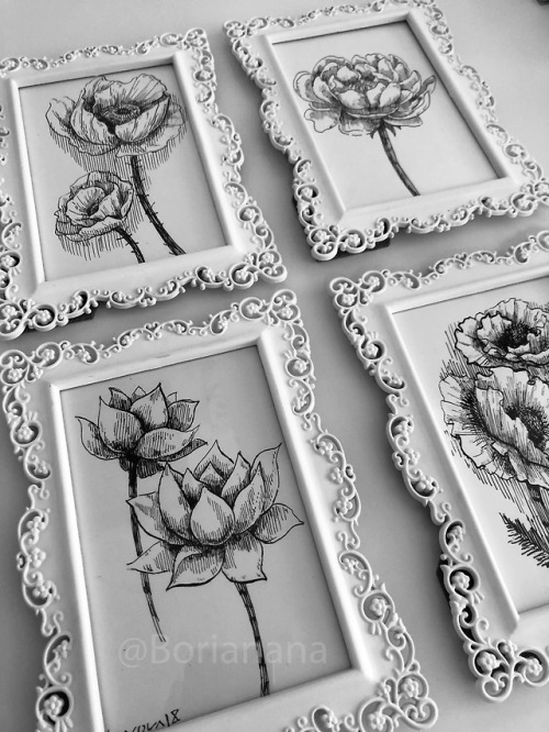 Ink drawings in frames for my shop!Avaliable: borianana.com/en/Boriana Savova / Borianana / 
