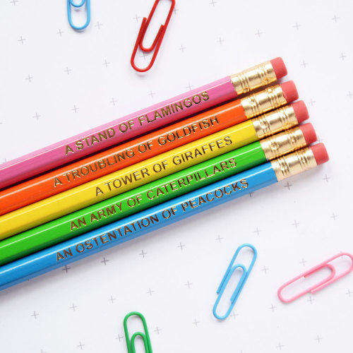 unimaa: sosuperawesome: Pencil Sets by Newton And The Apple on Etsy More like this These are amazing