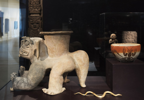 “My SNAKE (2011) speaks to a case of Pre-Columbian gold objects nearby ca. 1000-1500 C.E. The simila