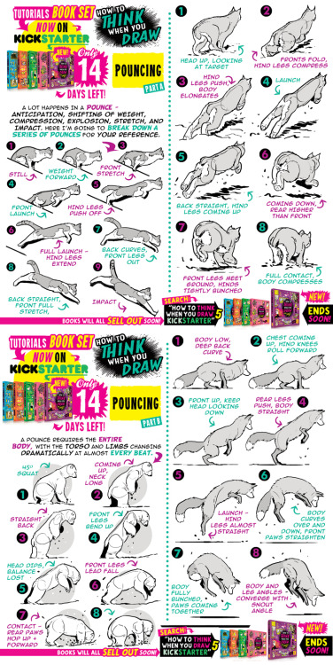 POUNCING! JUST TWO WEEKS LEFT until my tutorials books COMPLETELY SELL OUT! My set of 200-page TUTOR