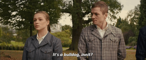 richmondvalentines: “Pick a puppy.”