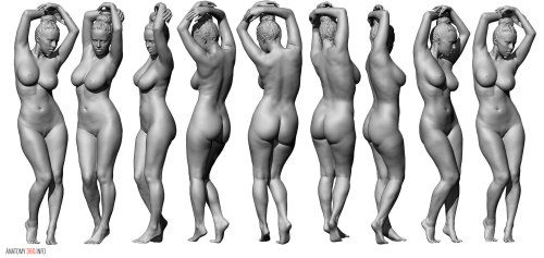 anatomy360:  Some new female life model reference porn pictures