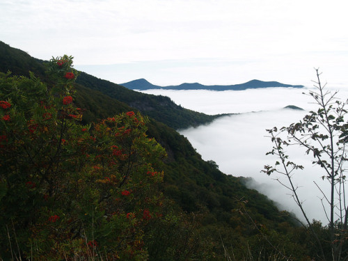Someone In the Valley Forgot to Turn Off the Fog Machine, Blueridge Pkwy by tyrmc74 on Flickr.