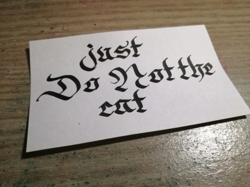 theshitpostcalligrapher: req’d by @currysrealm​ah i see Hey uhhh. I think I. I think I just managed 