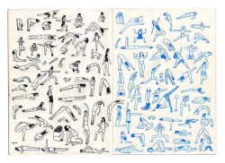 sappling:  Yoga by Rachel Levit  