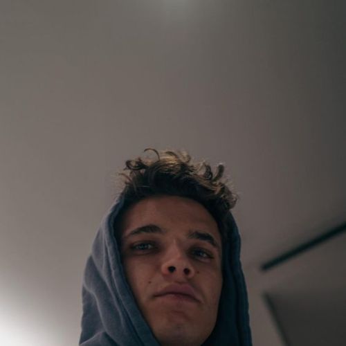 Secret Admin | Lando Norris Social Media Au