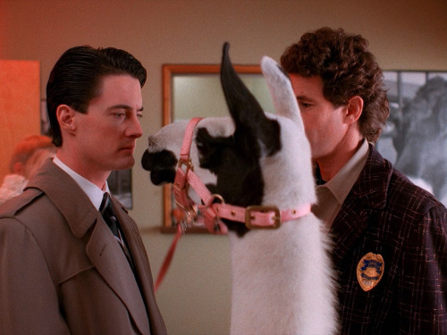 inthedarktrees: Kyle MacLachlan &amp; Michael Ontkean | Twin Peaks