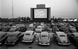 day-timemoons:   tropicaloceans:  sansyouth73-deactivated20170625: Drive-In Theatre, 1951  I wish people still did this. I wish this was the most popular date destination, you drive down to a yard where there’s hundred of other couples, and just admire