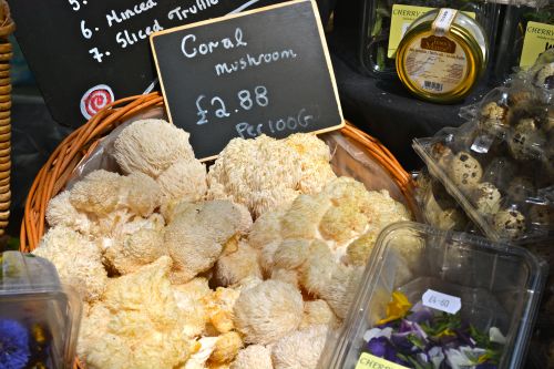 Mushrooms of Borough Market