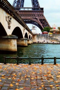 audreylovesparis:  Paris in the autumn