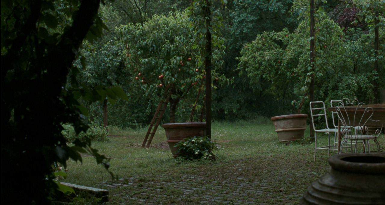 filmgraphies:Call Me By Your Name (2017, dir. Luca Guadagnino)